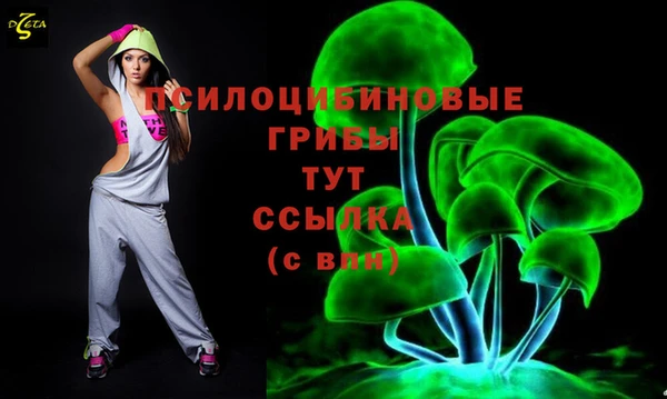2c-b Усолье-Сибирское