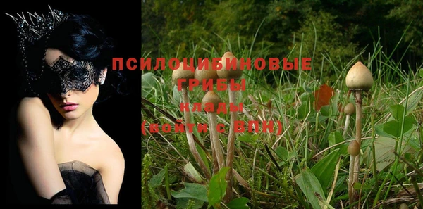 прущий лед Верея