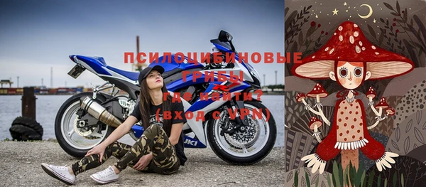 прущий лед Верея