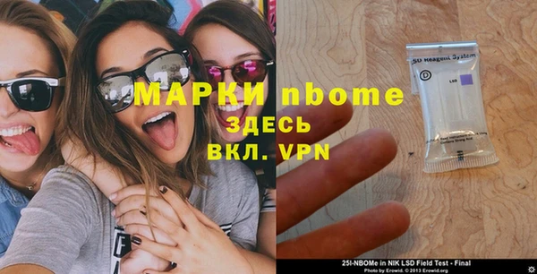 ГАЛЛЮЦИНОГЕННЫЕ ГРИБЫ Бородино